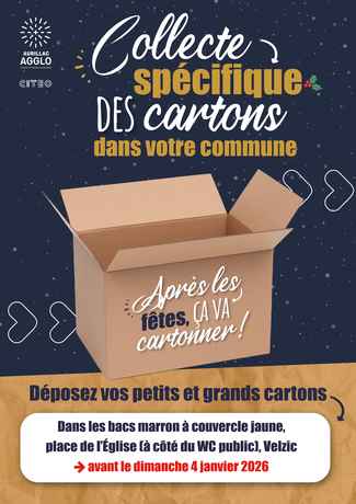 Tri carton fête_Velzic